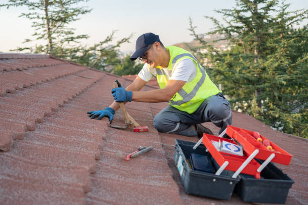 Roof Gutter Cleaning in Mercer, PA